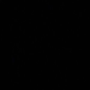 Meet your Posher, Basil